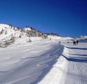 Pista Tonalina (Photo courtesy of foto.dovesciare.it)