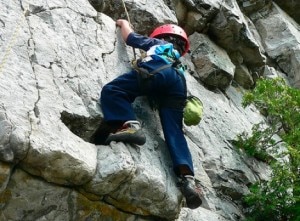Bimbo climber (Photo courtesy trehugger.com)
