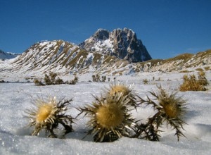 Campo Imperatore Gran Sasso (Filippo Crudele)