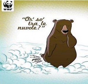 Uno dei fumetti presenti alla mostra Orsi tra le nuvole (Photo WWF)