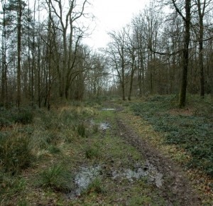 Sentieri dopo la pioggia (Photo Aidan Simons courtesy of www.geograph.org.uk)