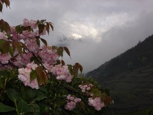 La quiete dopo la tempesta (Francy)