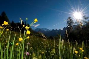 Sole in montagna (Photo courtesy hotellerocher.it)