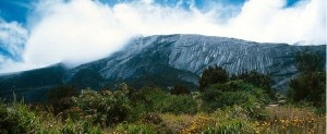 Kinabalu (Photo Summitpost.org)