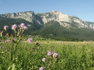 Nötsch in Carinzia (Photo kaernten.at)