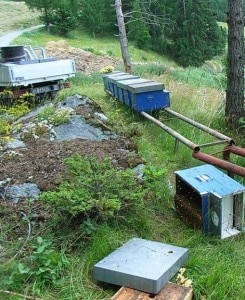 Arnie assalite dall'orso a Bormio (Photo courtesy laprovinciadisondrio.it)