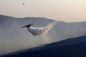 Incendi nel Parco del Pollino (Photo tmnews.it)