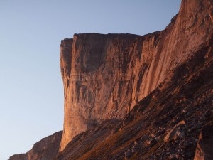 Polar Molar (Photo courtesy of http://arcticproject.wordpress.com)