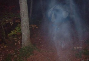 Un fantasma che vaga per i boschi? (Photo courtesy of ghostpicturesreal.com)