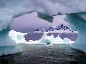 Artico (Photo courtesy italiaglobale.it)