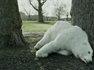 L'orso polare protagonista del video di "Save the arctic" (Photo courtesy of YouTube/Greenpeace)
