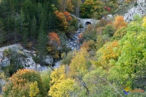 Un tratto del torrente Petit Buëch nel territorio di Rabou (Photo courtesy of www.visoflora.com)