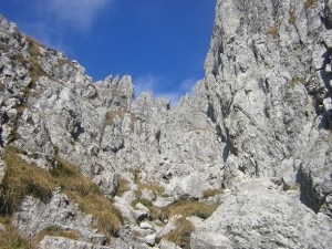 L'ultimo tratto del Canale Porta (Photo Luca Calvi courtesy of https://plus.google.com/photos/105331990286862939076/albums/5267810383197116497?banner=pwa)