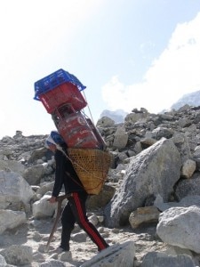 Sherpa (Photo tripwow.tripadvisor.com)