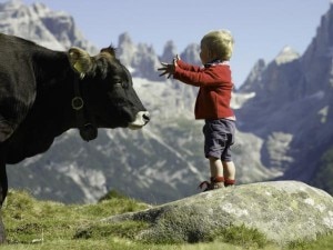 Bambini e montagna (Photo courtesy campigliodolomiti.it)