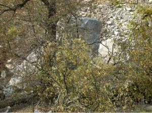 Massi caduti a sondalo (Photo by Paolo Ghilotti courtesy laprovinciadisondrio