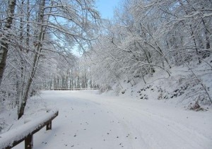 Neve nella zona aretina di Pratomagno (Photo courtesy of www.arezzometeo.com)