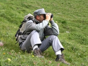 Corpo Forestale dello Stato