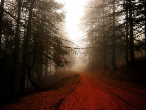 Nebbia sulle Alpi Liguri (Paolo Malvezzi)