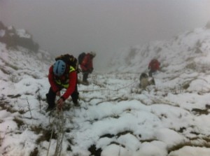 Il recupero dei capi di bestiame da parte del Soccorso Alpino, sulla destra si può notare una capra assicurata con una corda (Photo courtesy of Cnsas Piemonte)