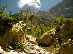 Fondo della Salsa Gran Sasso (Filippo-Crudele)