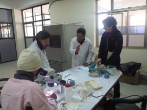 La ricercatrice Silvia Bodino con i tecnici dell Himalayan Seed Bank