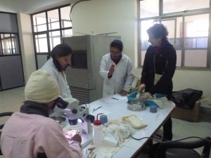 La ricercatrice Silvia Bodino con i tecnici dell Himalayan Seed Bank La ricercatrice Silvia Bodino con i tecnici dell Himalayan Seed Bank
