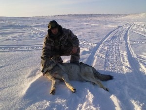 Un cacciatore mostra il lupo ucciso sulle nevi russe (Photo courtesy of anne-wildlifenature.blogspot.it)