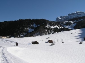 La salita al Monte Vederna da Imer (Photo courtesy of profiles.google.com/maurizioraffi52)