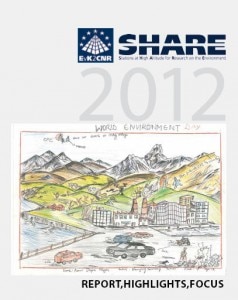 Share: i risultati del 2012