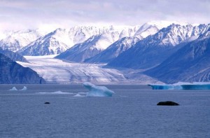 Kaparoqtalik Glacier, Canada