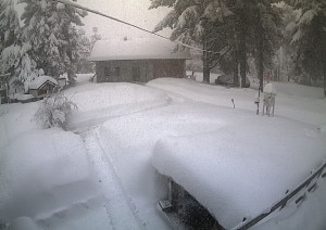 Neve a 800 metri in Liguria (Photo 3Bmeteo)