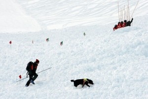 Ricerca di dispersi in valanga (Photo courtesy of Keystone/www.limpartial.ch)