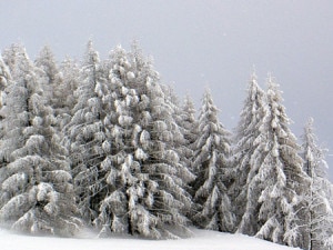 nevicata (photo courtesy foto-blog.it)