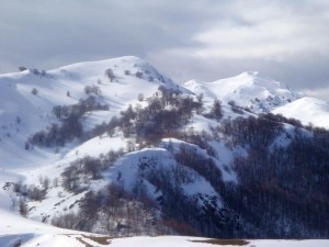20100226002855-300x225.jpg