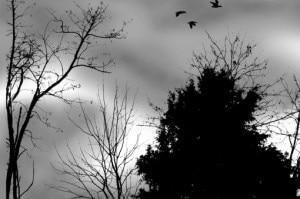 Maltempo-photo-courtesy-coldiretti.it_-300x199.jpg