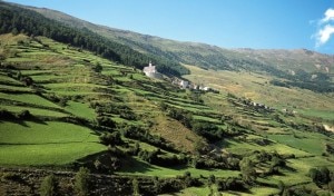 Masi-di-Innermatsch-Val-di-Mazia-Photo-courtesy-sentres.com_-300x176.jpg