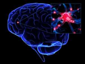 Neuroni-Photo-courtesy-sanitaincifre.it_-300x225.jpg