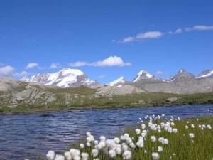 Scorci-dal-Nivolet-sul-Gran-Paradiso-Photo-Parco-Nazionale-Gran-Paradiso-300x225.jpg