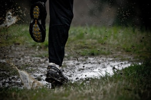 Trail-running-photo-courtesy-sdri.net_-300x199.jpg