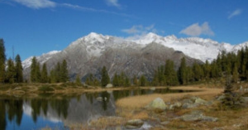 Vacanze-in-natura-Photo-www.wwfnature.it_-300x197.jpg