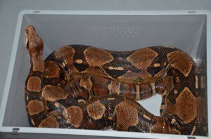 71095-Useq9Zew3lddUda0-300x198.jpg