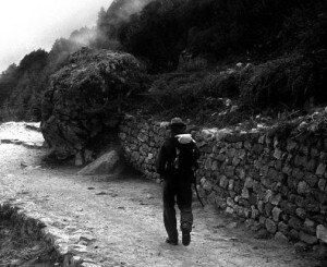 Adventures-Movie-Award-Days-300x245.jpg