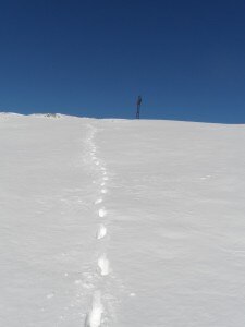 Photo of Ladro-alpinista attraversa il confine e ruba in albergo a 2000 metri