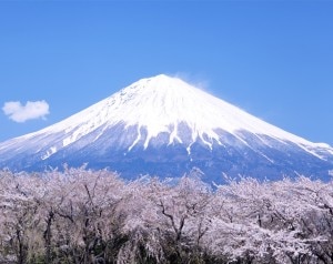 fuji-300x238.jpg