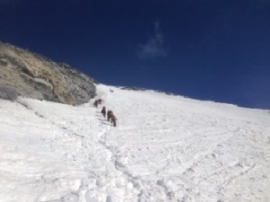 Gran Zebrù, il punto di caduta (photo K. Ortler courtesy G.Gajer) 1