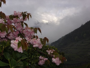 La quiete dopo la tempesta (Francy)La quiete dopo la tempesta (Francy)