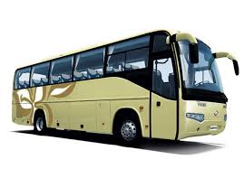 Luxury bus. Photo: File Photo