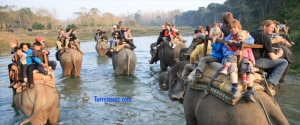 Tourists enjoying elephant safari at Chitwan National Park. Photo: turrettours.com