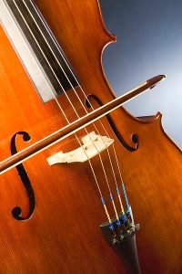 Particolare di un violoncello (Photo Michael Maggs courtesy of Wikimedia Commons)